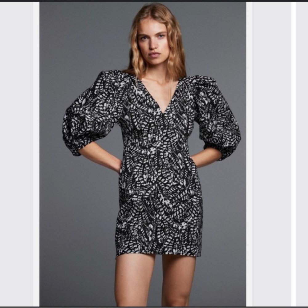 Zara dress